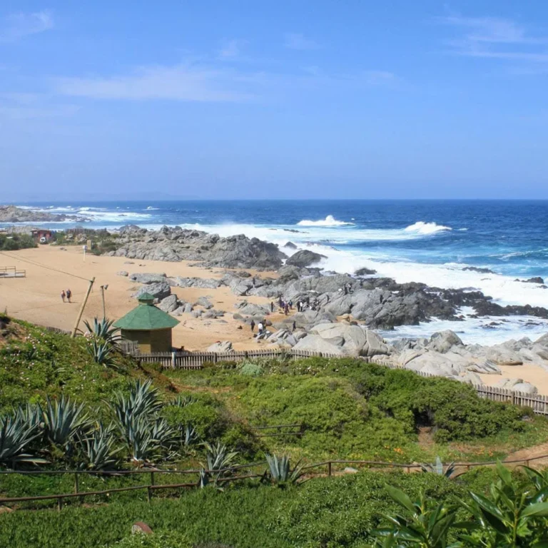 Playa y mar a pasos de las cabañas en El Tabo